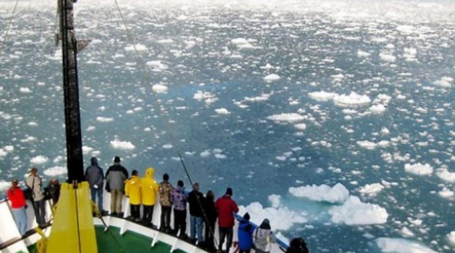 В нашей стране появится особый электронный музей Арктики
