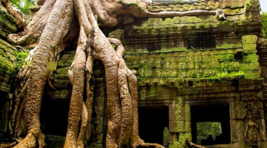 Камбоджийские власти решили порадовать туристов